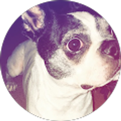 Profile photo of Rowan D