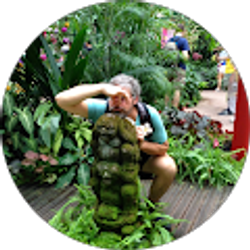 Profile photo of Seth Stewart