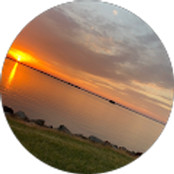 Profile photo of JerryLee Sisson