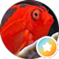 Profile photo of Chris S.