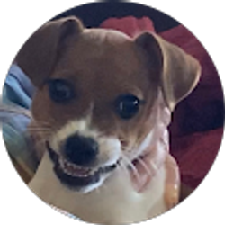 Profile photo of Michelle Loucks