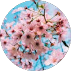 Profile photo of Claire Figel