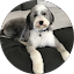 Profile photo of Cori Hirsh
