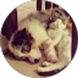 Profile photo of Bud Hawkins