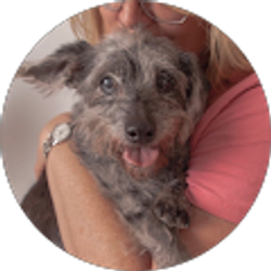 Profile photo of Angela Harpster