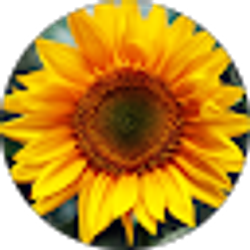 Profile photo of Emily Dreyfus