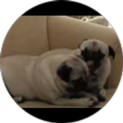 Profile photo of Susan Newton