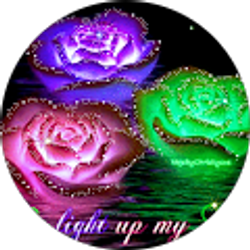 Profile photo of Liz Rodriguez