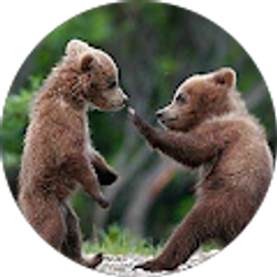 Profile photo of Amanda “Mandy” Edwards