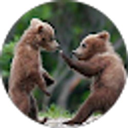 Profile photo of Amanda “Mandy” Edwards