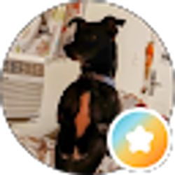 Profile photo of Sherry davis