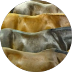 Profile photo of Emily Wise