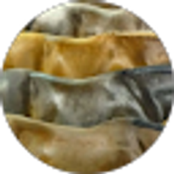 Profile photo of Emily Wise