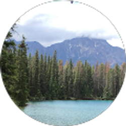 Profile photo of shawnxuande Li