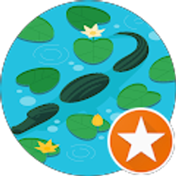 Profile photo of Kelly Deville