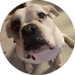 Profile photo of William Ehleringer