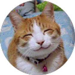 Profile photo of budoor ISSA