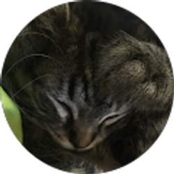 Profile photo of Ethan ********