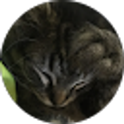 Profile photo of Ethan ********