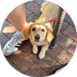 Profile photo of Eugenio Arce