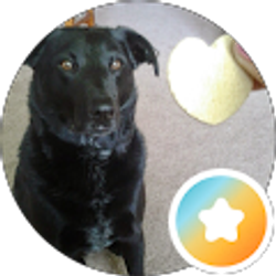 Profile photo of TikTac21