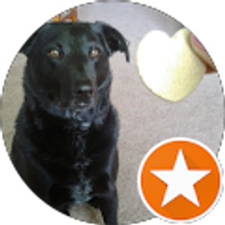 Profile photo of TikTac21