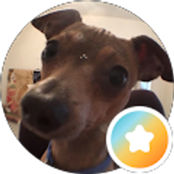 Profile photo of Tehya Roy