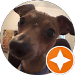 Profile photo of Tehya Roy