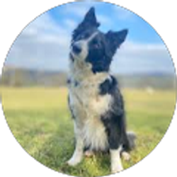 Profile photo of Chase Moore