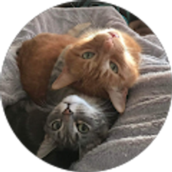 Profile photo of A.D. Lawrence