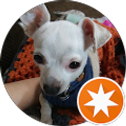 Profile photo of Andrea Bradford