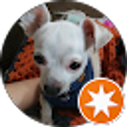 Profile photo of Andrea Bradford