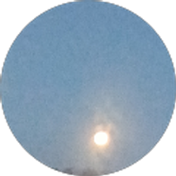 Profile photo of Destinie D Jimenez