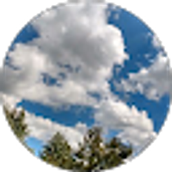 Profile photo of Deborah Diecker