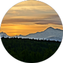 Profile photo of Steve M