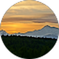 Profile photo of Steve M