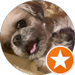 Profile photo of Marybeth Lanet