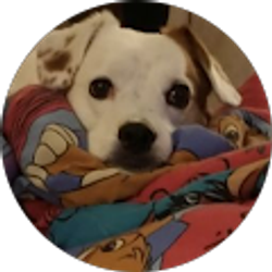 Profile photo of Gary Mullen