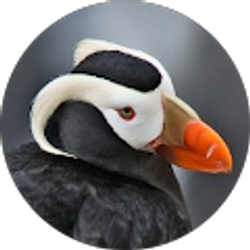 Profile photo of drex