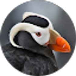 Profile photo of drex