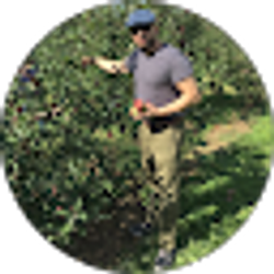Profile photo of mirsad basic