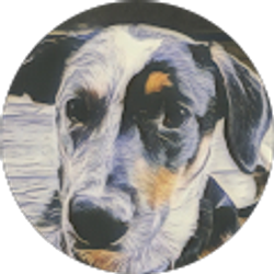 Profile photo of Chris Mayne