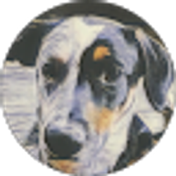 Profile photo of Chris Mayne