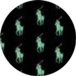 Profile photo of PoloBoyLando