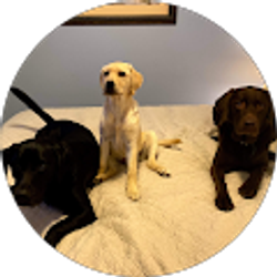 Profile photo of JD McDormand