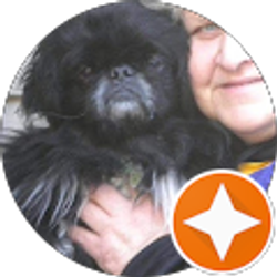 Profile photo of Tony Chrysler