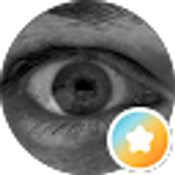 Profile photo of Adam Chiodo