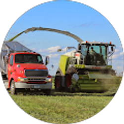 Profile photo of Turner