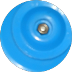 Profile photo of Kelly Money