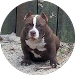 Profile photo of Cheryl